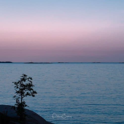 Photo of soft purple and blue sunset with silhouette of cliff and single tree in foreground