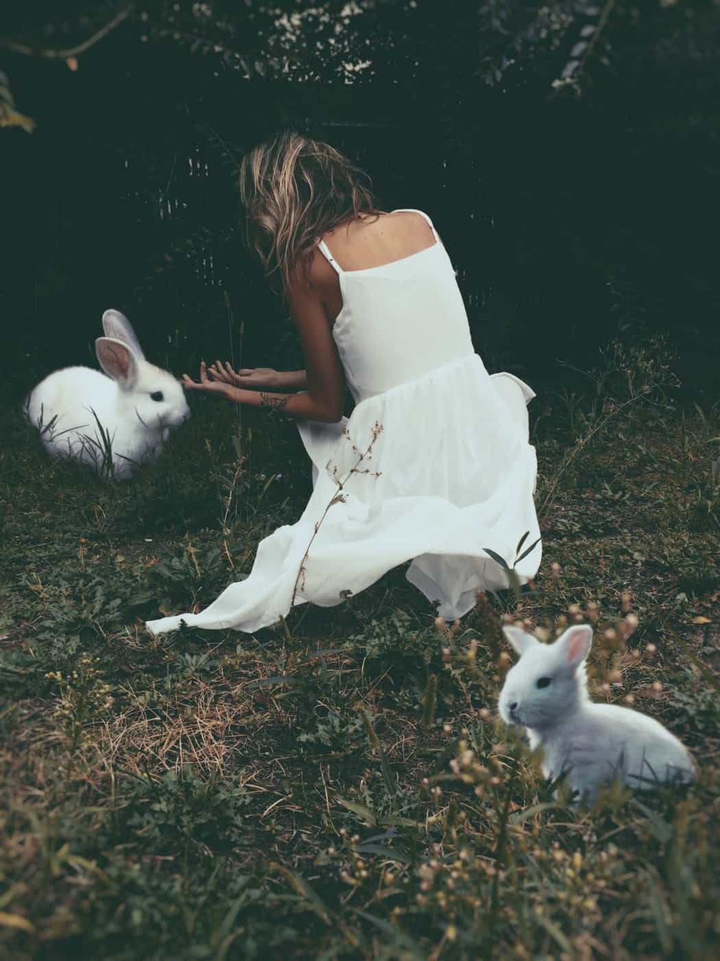 Woman in white dress crouched down towards white bunny in grassy field with another bunny in foreground