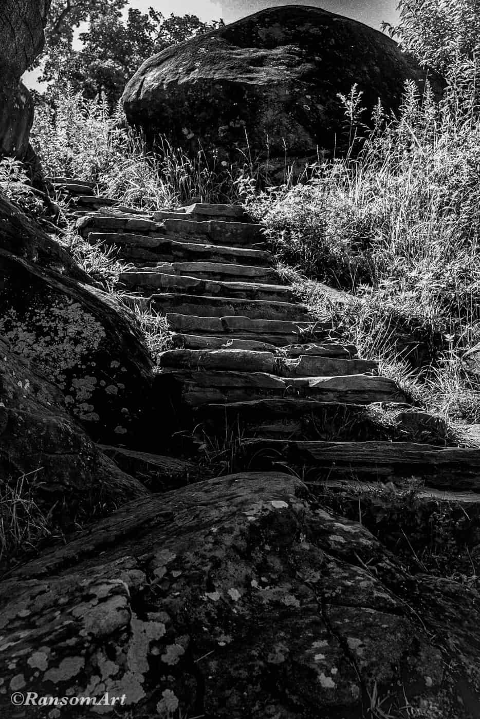 Black and white photo of stairs going up in natural environment with rocks and grass around